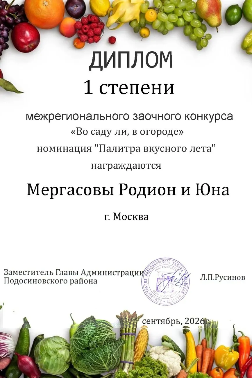 диплом1 (32) (1)