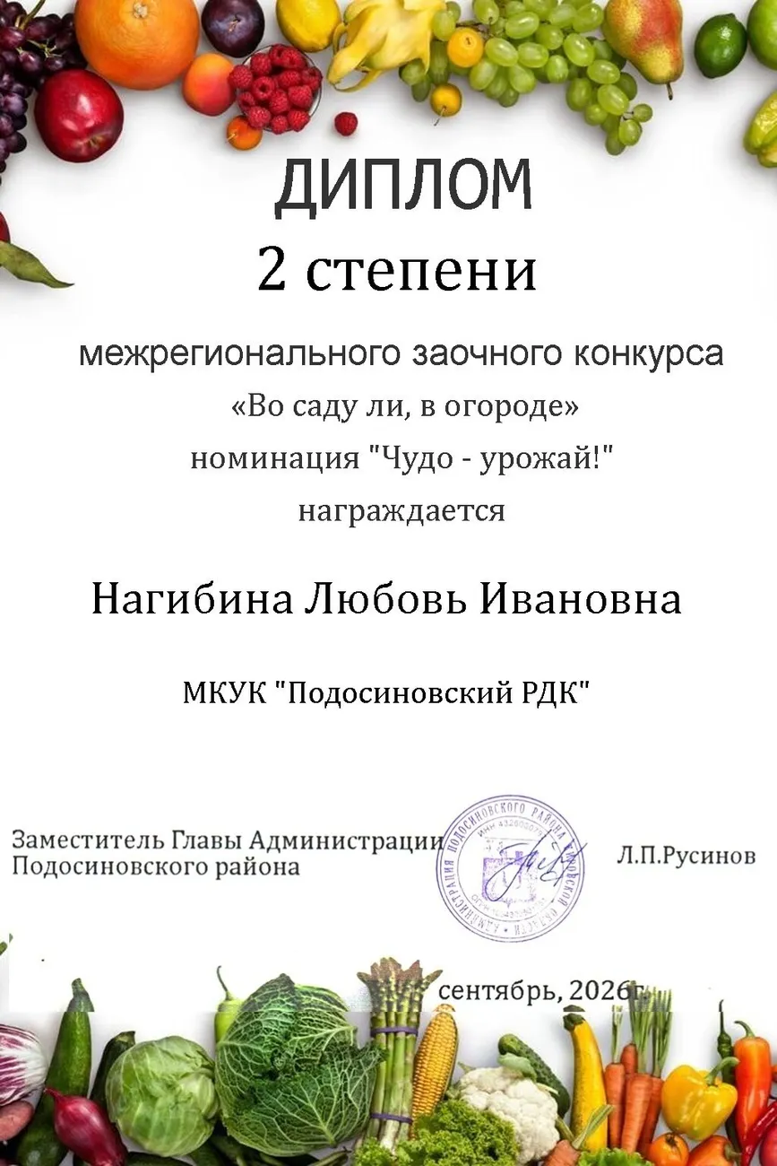 диплом1 (40) (1)
