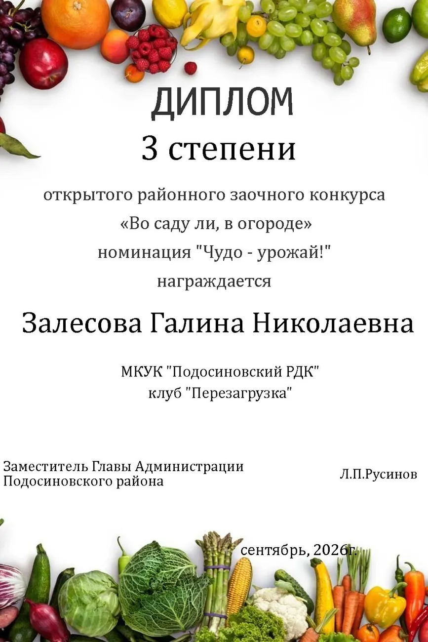 диплом1 (1)