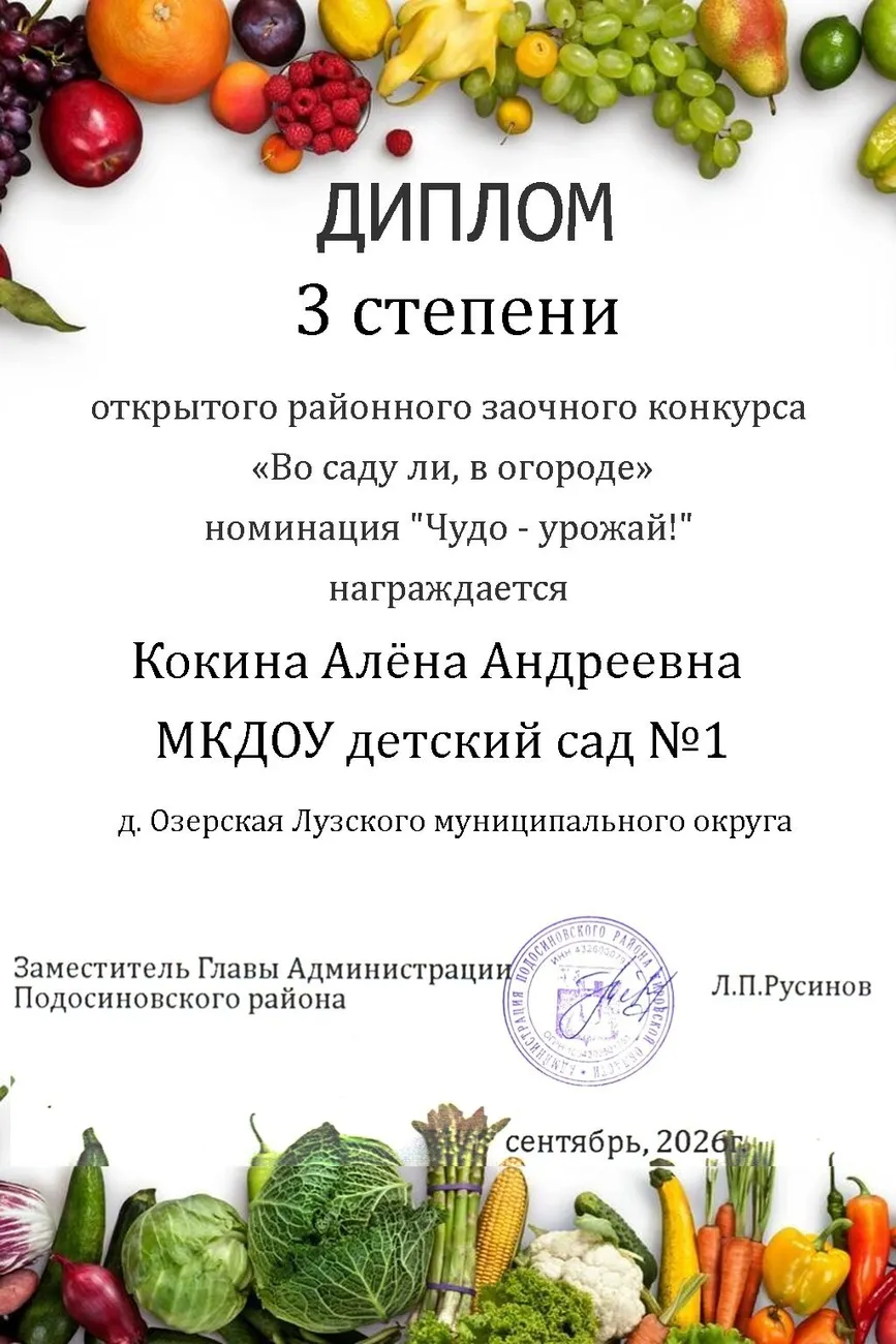 диплом1 (5)