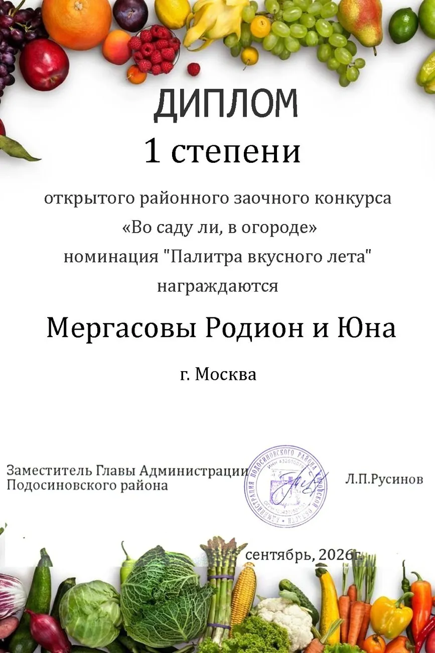 диплом1 (32)