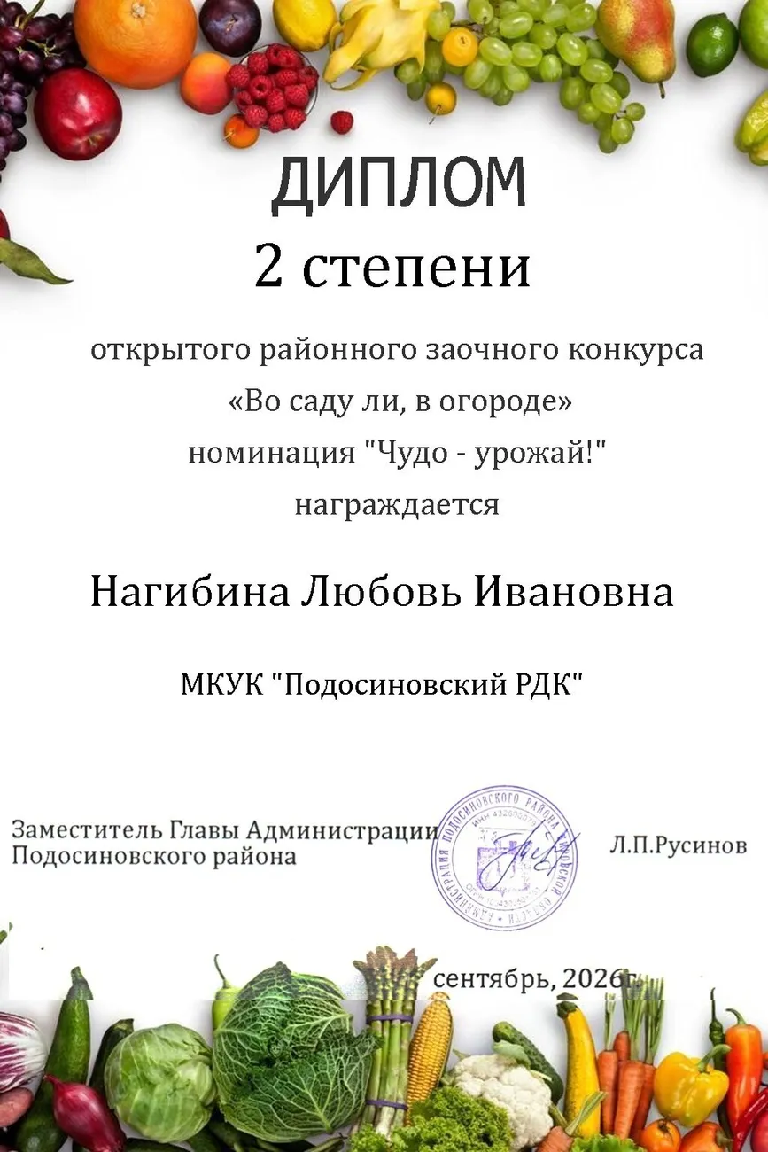 диплом1 (40)